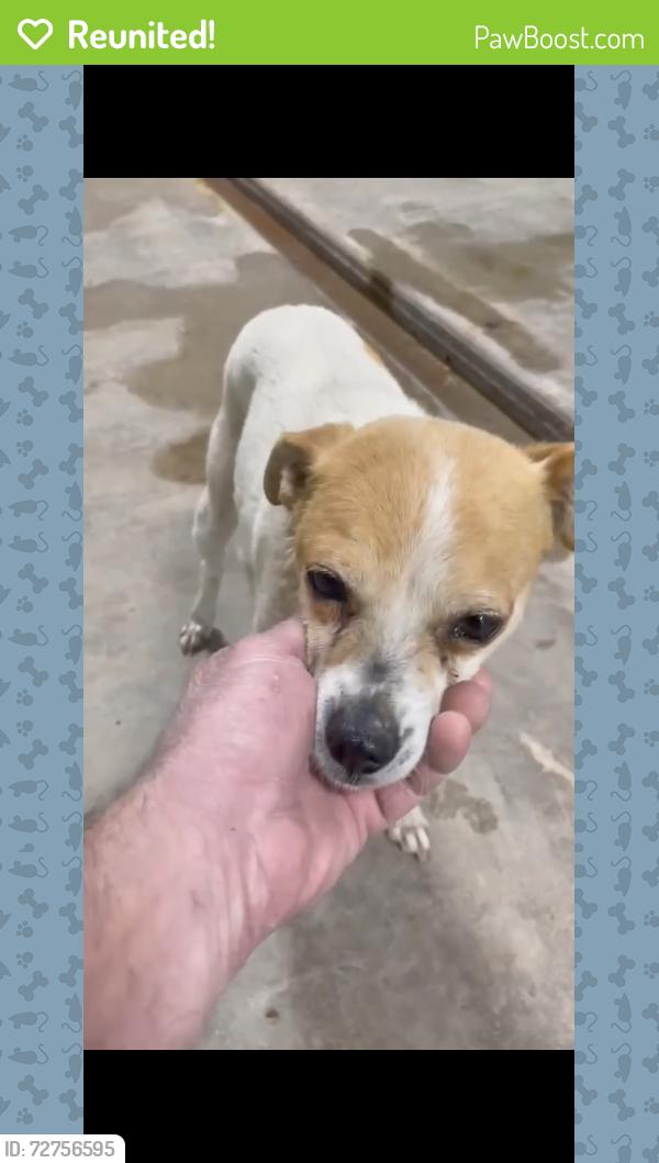 Reunited Female Dog last seen Quaker, Lubbock, TX 79414