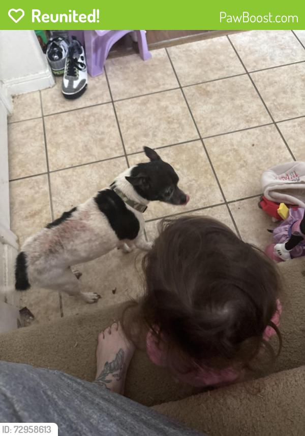 Reunited Male Dog last seen Crescent bay dr and cinnabar bay dr, League City, TX 77573