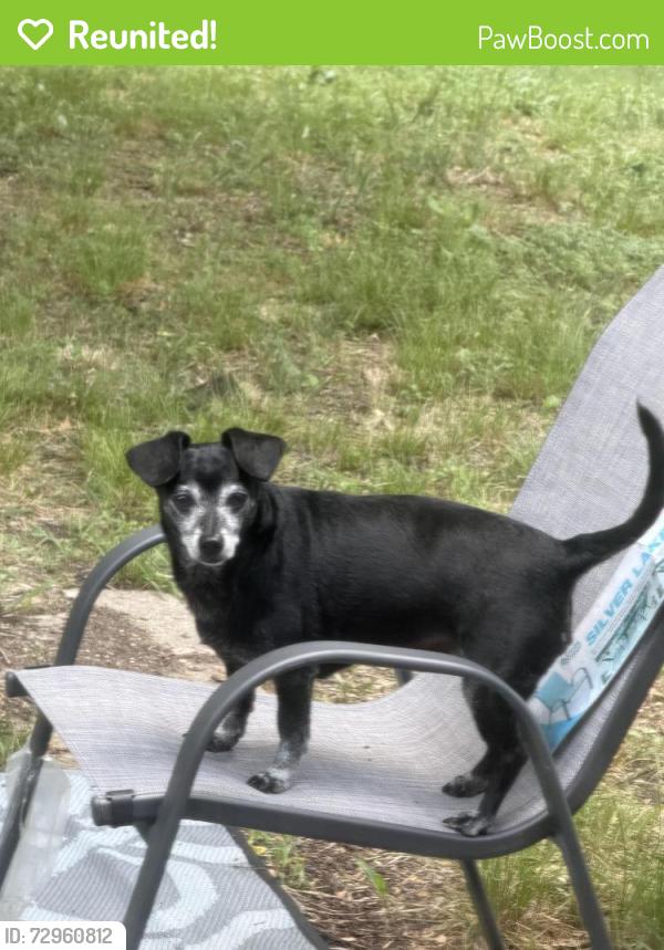 Reunited Male Dog last seen Hutson Street , Corsicana, TX 75110