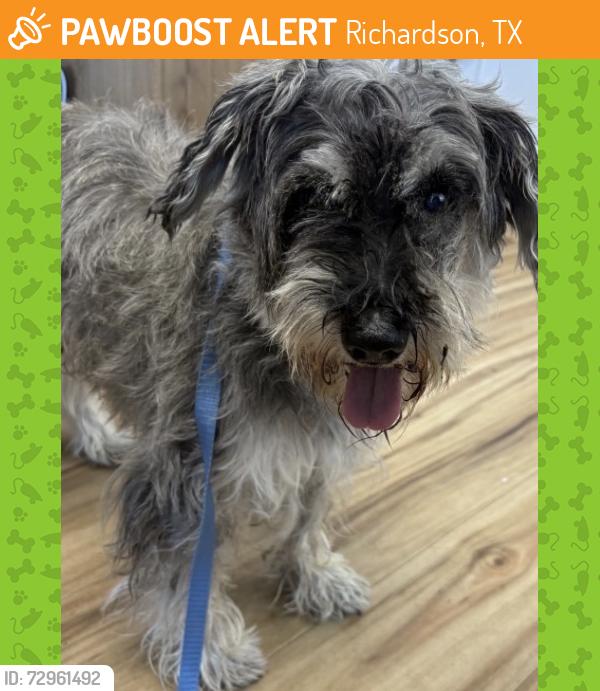 Found/Stray Male Dog last seen Near S Central Expressway, Richardson, TX 75080
