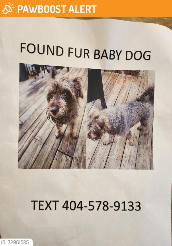 Found/Stray Male Dog last seen Hwy 212, Rockdale County, GA 30094