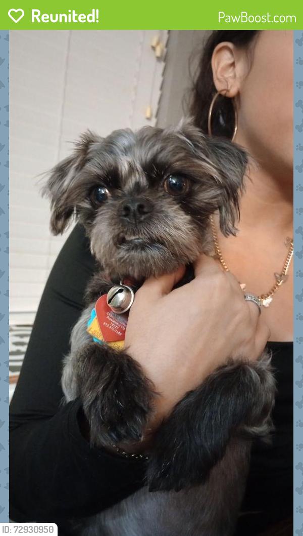 Reunited Male Dog last seen Providence Blvd , Providence Village, TX 76227
