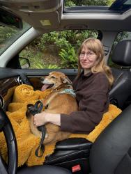 Reunited Male Dog last seen Jefferson Parkway & Kingsgate Rd in Oak Creek neighborhood of LO, Lake Oswego, OR 97035