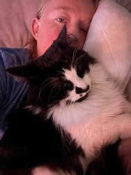Lost Male Cat last seen Goodyear boulevard across from New Heights Church of the Nazarene, Akron, OH 44305