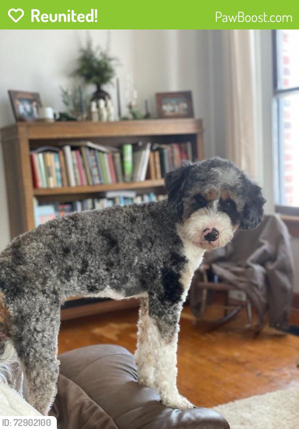 Reunited Female Dog last seen Near Upper Strasburg Rd, Pleasant Hall, Pa, Usa, Pleasant Hall, PA 17246