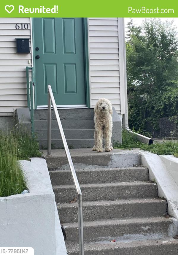 Reunited Unknown Dog last seen Fairview and Lafond, Saint Paul, MN 55104