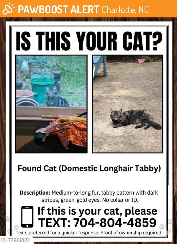 Found/Stray Unknown Cat last seen woods end lane, Charlotte, NC 28277