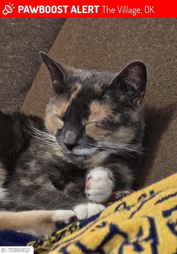 Lost Unknown Cat last seen Britton and Andover, The Village, OK 73120