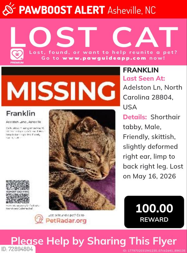 Lost Male Cat last seen Aiken Rd , Asheville, NC 28804
