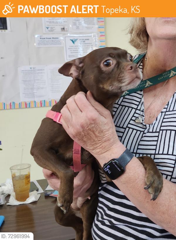 Found/Stray Female Dog last seen Near NW Paramore , Topeka, KS 66608