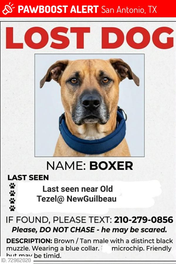 Lost Male Dog last seen Tezel@Guilbeau , San Antonio, TX 78250