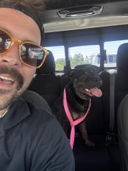 Found/Stray Male Dog last seen Near e Trinity lane, Nashville, tn 37207, Nashville, TN 37207