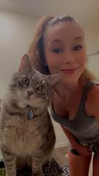 Lost Male Cat last seen Near Tipperary drive, Melbourne, FL 32940