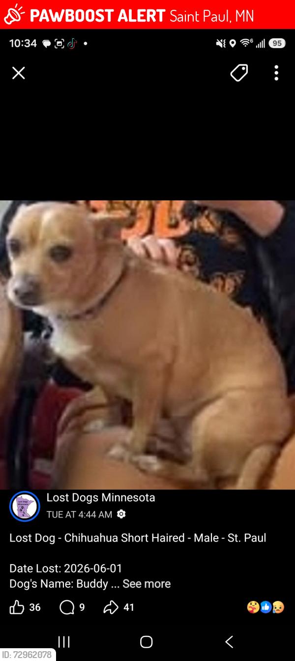 Lost Male Dog last seen Earl and wakefield ave, Saint Paul, MN 55106