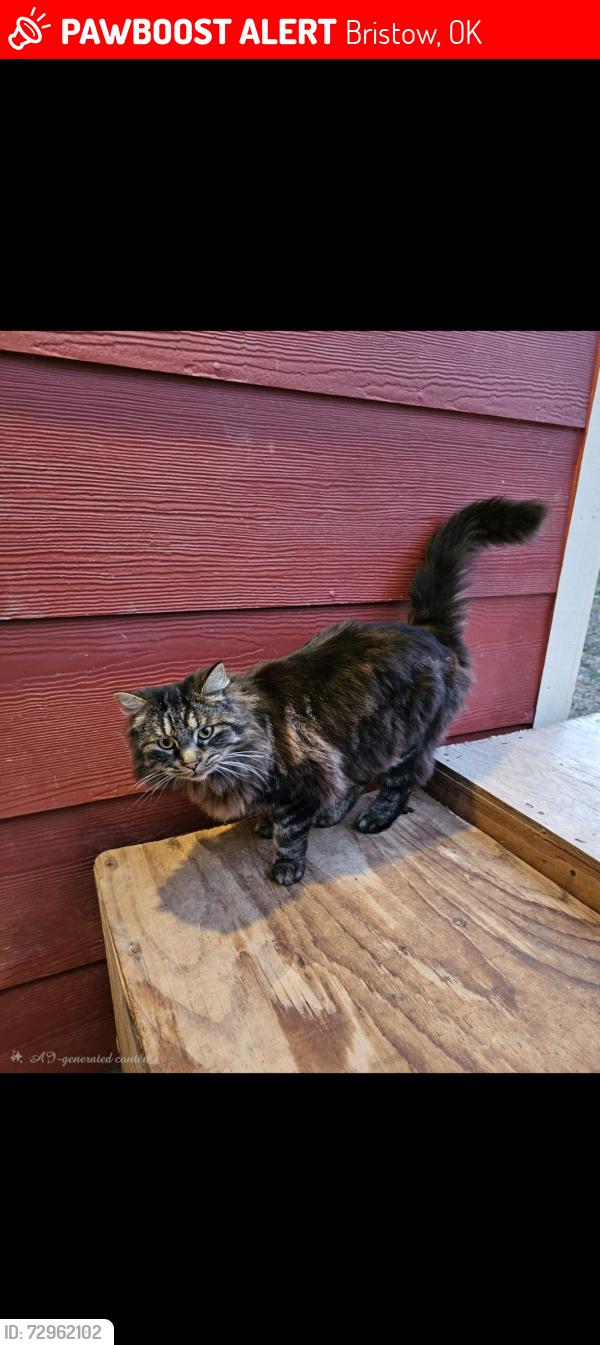 Lost Female Cat last seen Off route 66 by Heyburn Lake , Bristow, OK 74010