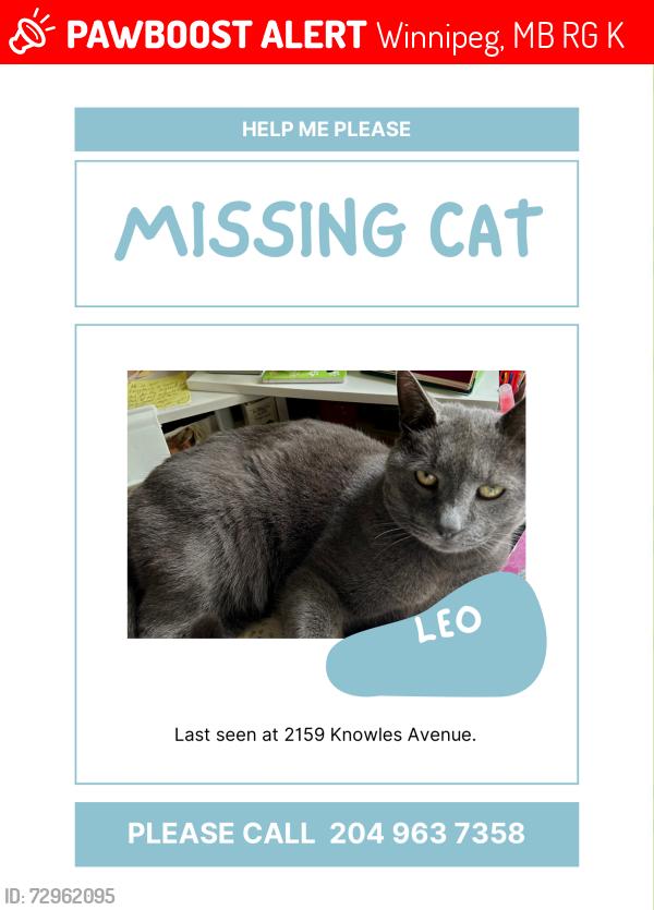 Lost Male Cat last seen Near Knowles Avenue, Winnipeg, MB R2G 2K4