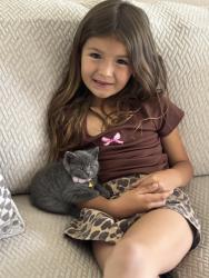 Lost Female Cat last seen Near w 111th pl, Los Angeles, CA 90044