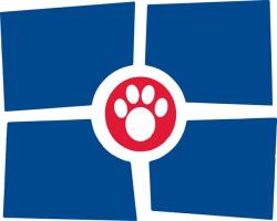 Shelter Stray Unknown Cat last seen Near , Indianapolis, IN 46221