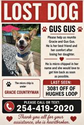 Lost Male Dog last seen Near and 1725 Hughes loop , San Jacinto County, TX 77378