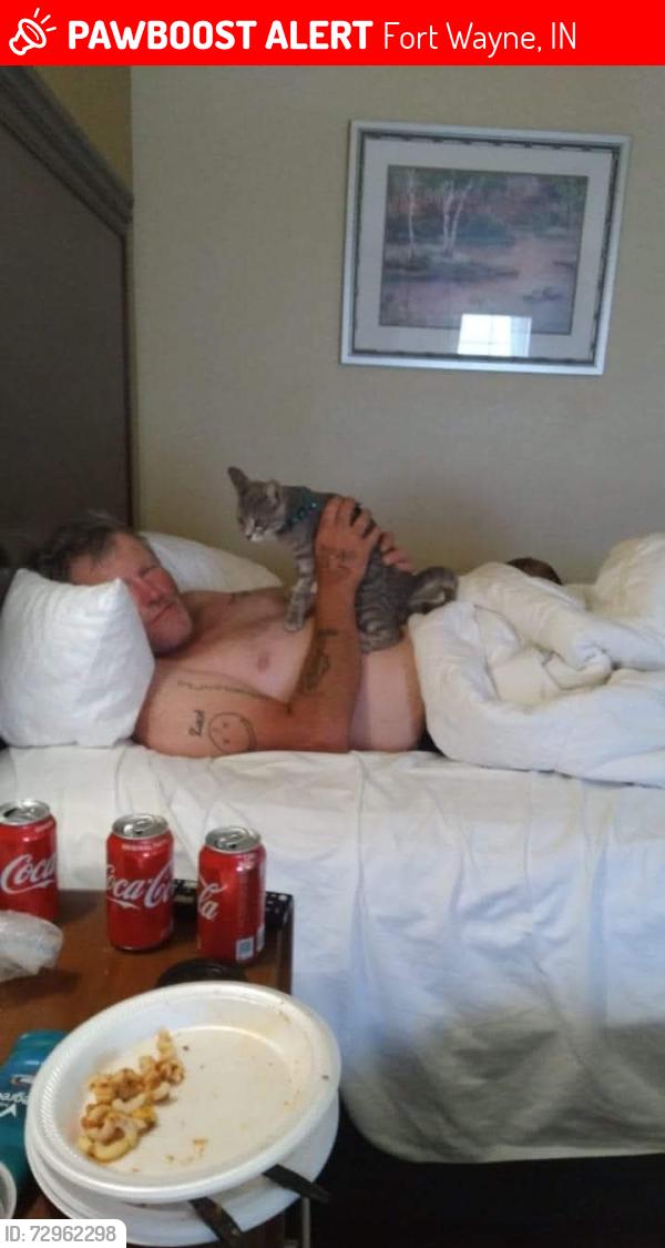 Lost Female Cat last seen Motel , Fort Wayne, IN 46804
