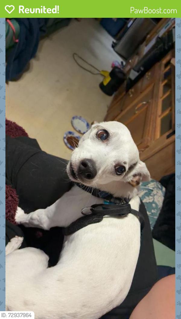 Reunited Male Dog last seen Willow Springs apmt buildings, Eagle Mountain, UT 84005