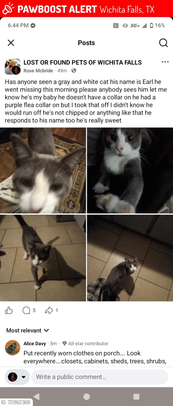 Lost Male Cat last seen Grandview South , Wichita Falls, TX 76302