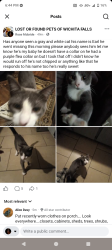 Lost Male Cat last seen Grandview South , Wichita Falls, TX 76302