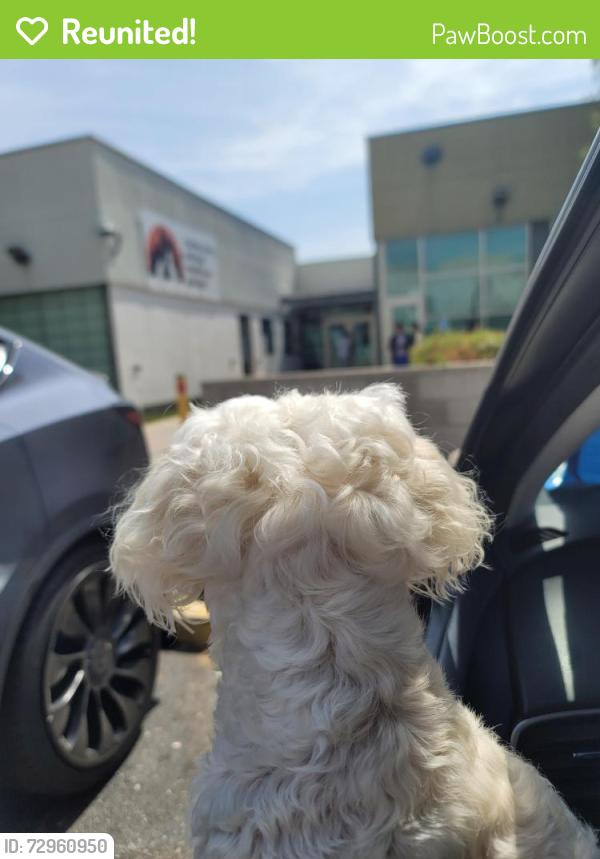 Reunited Female Dog last seen Parish & Lamer, Burbank, CA 91504