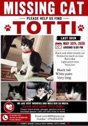 Lost Female Cat last seen Drakewood road., Greater London, England SW16 5EN