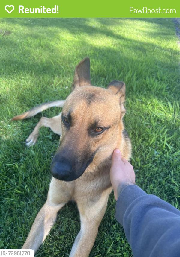 Reunited Male Dog last seen Near Timber Creek Ln SW, Marietta, GA 30060, USA, Marietta, GA 30060