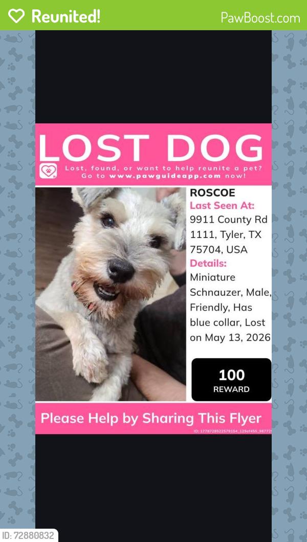Reunited Male Dog last seen Near cr 1111, Tyler, TX 75704