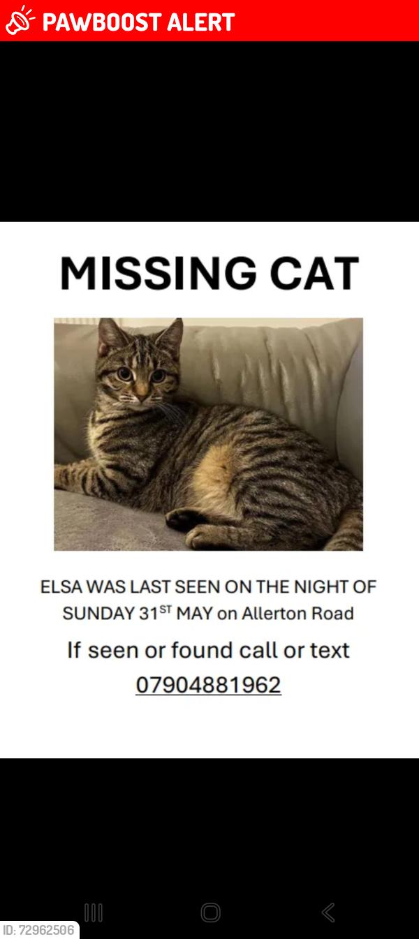 Lost Female Cat last seen The castle climbing centre, Greater London, England N16 5UJ