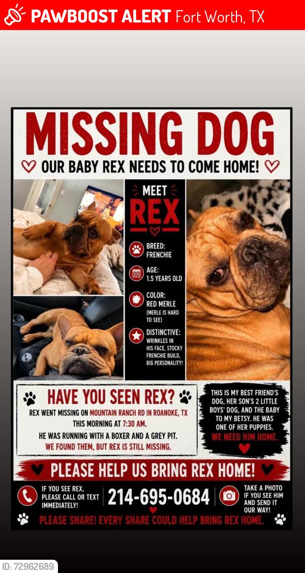 Lost Male Dog last seen Lost spurs rd, Fort Worth, TX 76262