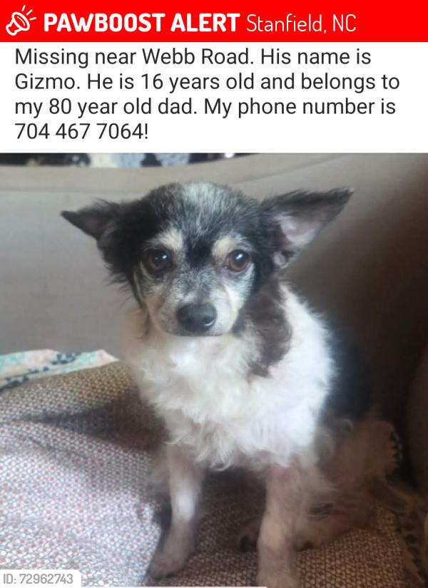 Lost Male Dog last seen Webb road, Stanfield, NC 28163