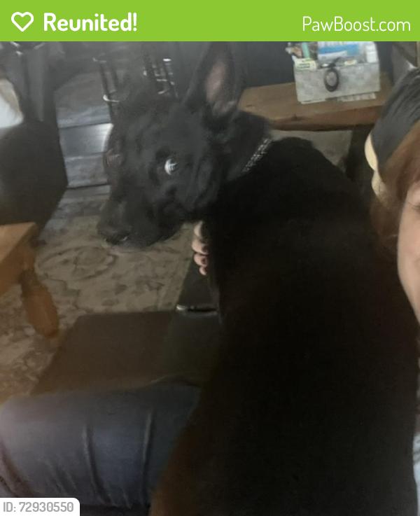 Reunited Male Dog last seen 61st and 225 east ave, Broken Arrow, OK 74014