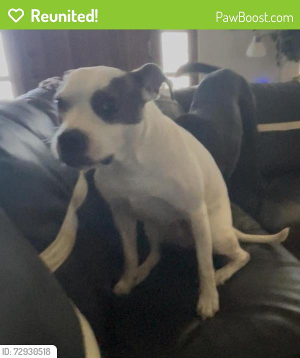 Reunited Female Dog last seen 61st & 225 east ave, Broken Arrow, OK 74014