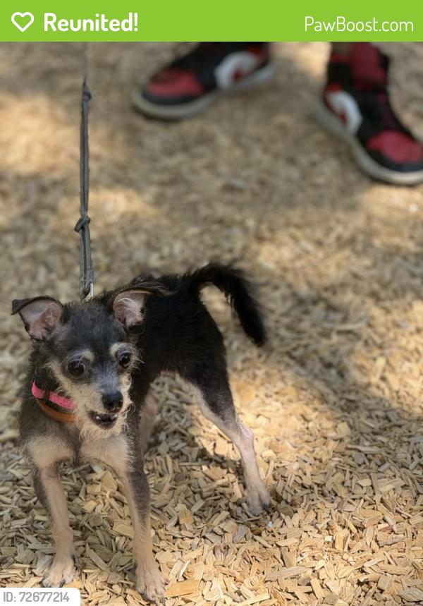 Reunited Female Dog last seen Center pkwy, Sacramento, CA 95823