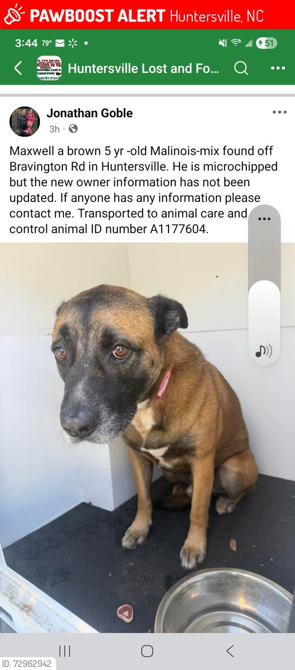 Lost Male Dog last seen Bravington Rd in Covington, Huntersville, Huntersville, NC 28078