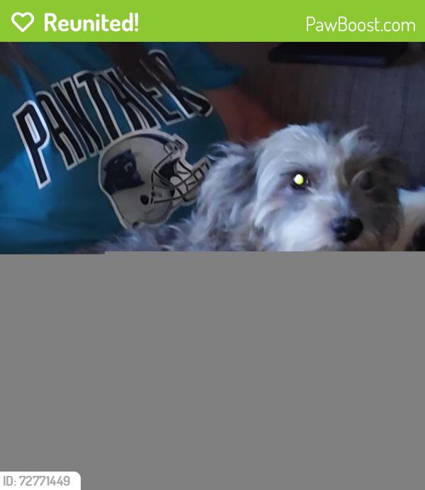 Reunited Female Dog last seen Webb road, Stanfield, NC 28163