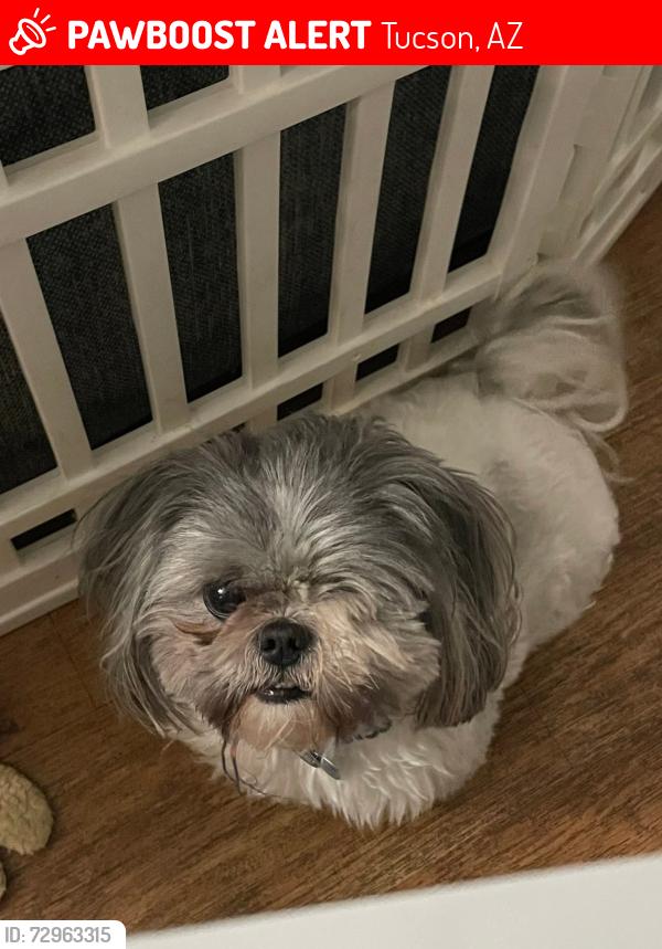 Lost Male Dog last seen Near W Speedway Blvd , Tucson, AZ 85745