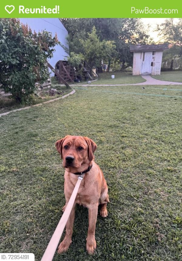 Reunited Male Dog last seen Mountain View Rd. Off in Corrall Hollow , Tracy, CA 95376