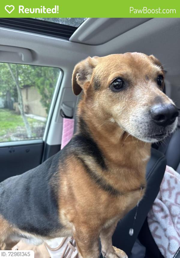 Reunited Male Dog last seen Aetna , Pasco County, FL 34668