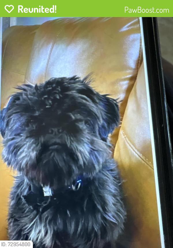 Reunited Female Dog last seen State Ave , Glendale, AZ 85301