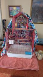 Lost Male Bird last seen Steels, Bathurst , Toronto, ON M2R 2A4