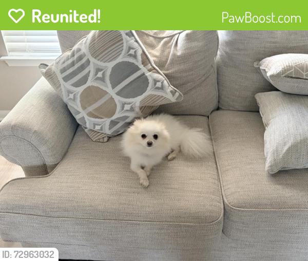 Reunited Female Dog last seen Ray Ellison BLVD & Hallie pass , San Antonio, TX 78227