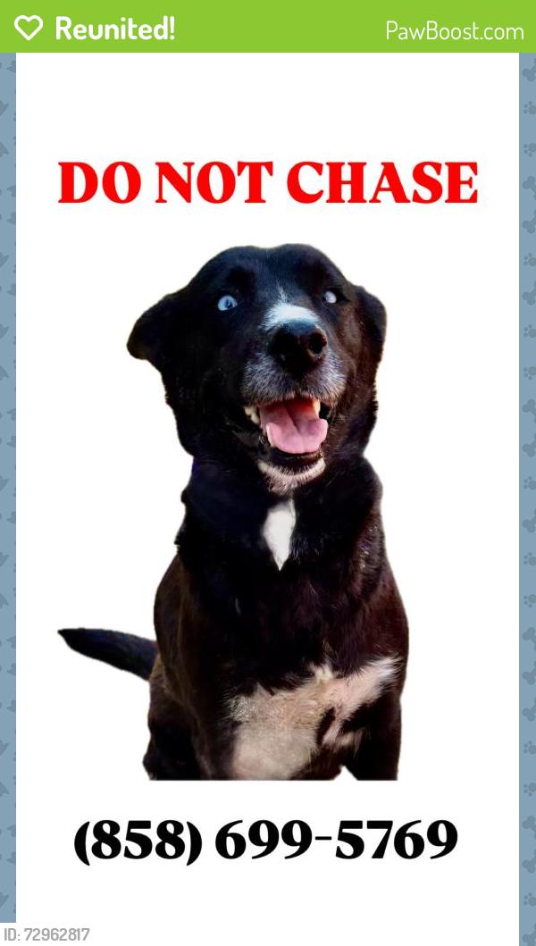 Reunited Female Dog last seen Edge Parkway , San Diego, CA 92124