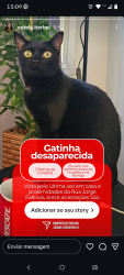 Reunited Female Cat last seen Rua Jorge Faleiros número 98, Jabaquara, SP 04342-110