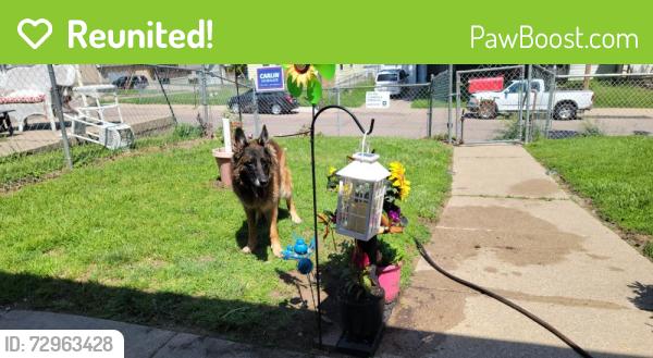 Reunited Female Dog last seen 27th court , Sioux City, IA 51105