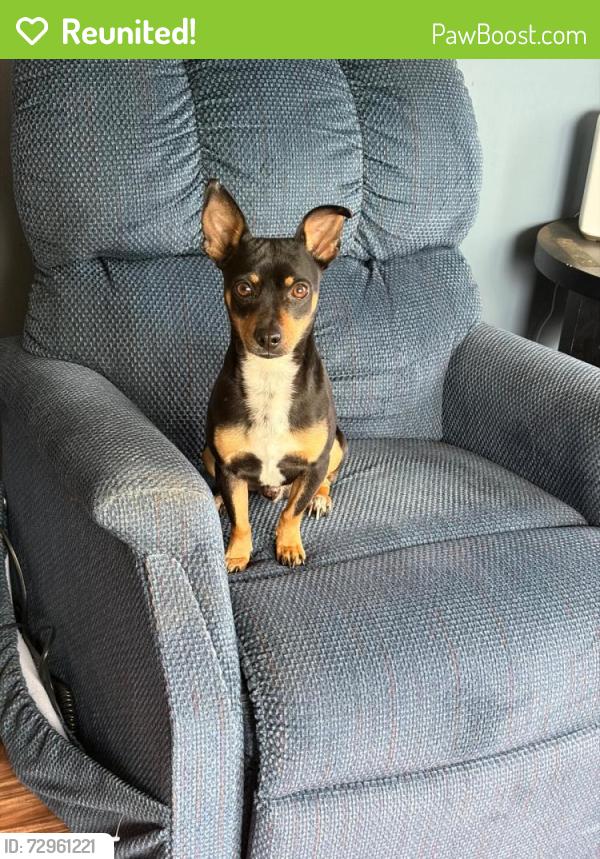 Reunited Male Dog last seen Munden road , Virginia Beach, VA 23457