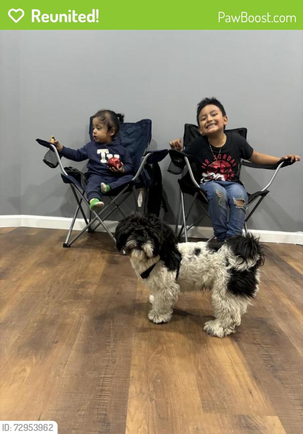 Reunited Male Dog last seen Near columbus Ave s Mn, Minneapolis, MN 55407